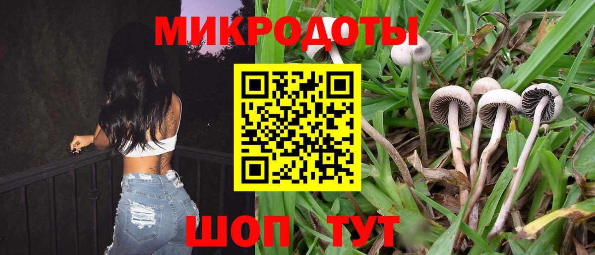 Галлюциногенные грибы Psilocybine cubensis  Псилоцибиновые грибы Psilocybe  Невинномысск  Вход с VPN 